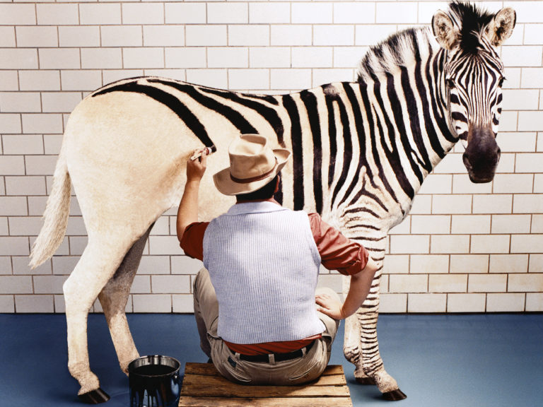 A country side man drawing horse like Zebra